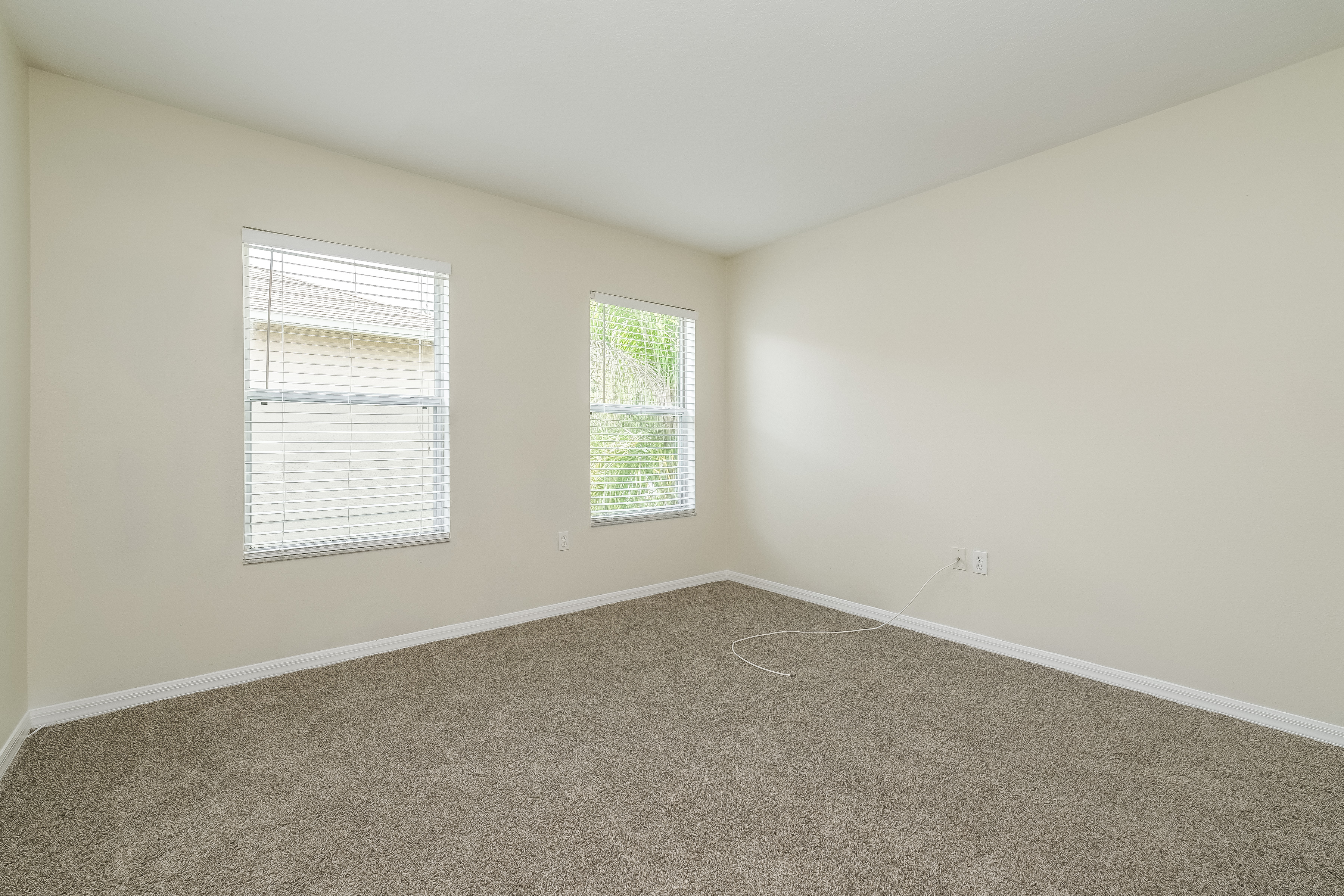 19608 Timberbluff Dr, Land O Lakes photo 8