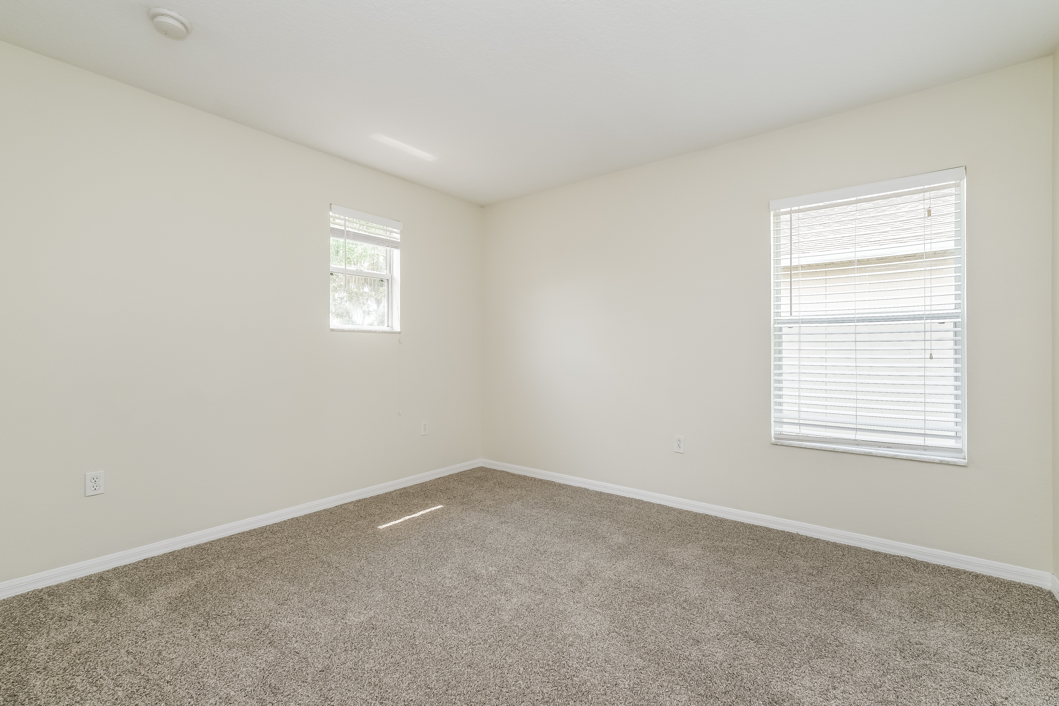 19608 Timberbluff Dr, Land O Lakes photo 9