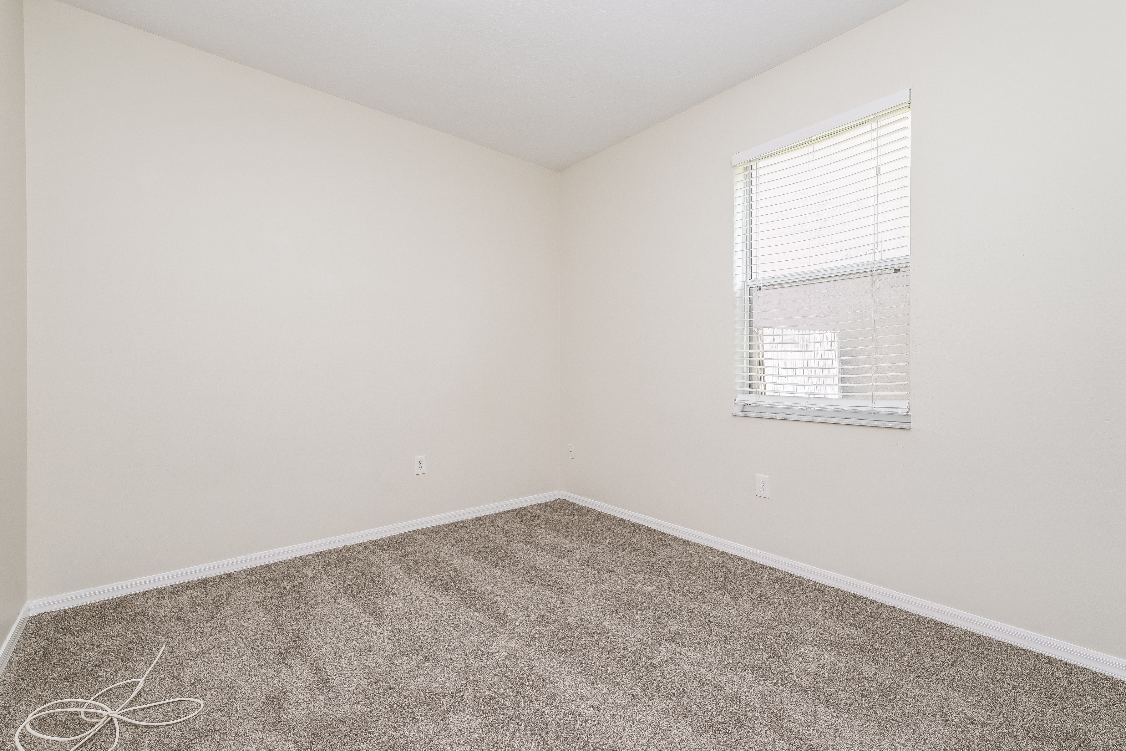 19608 Timberbluff Dr, Land O Lakes photo 11