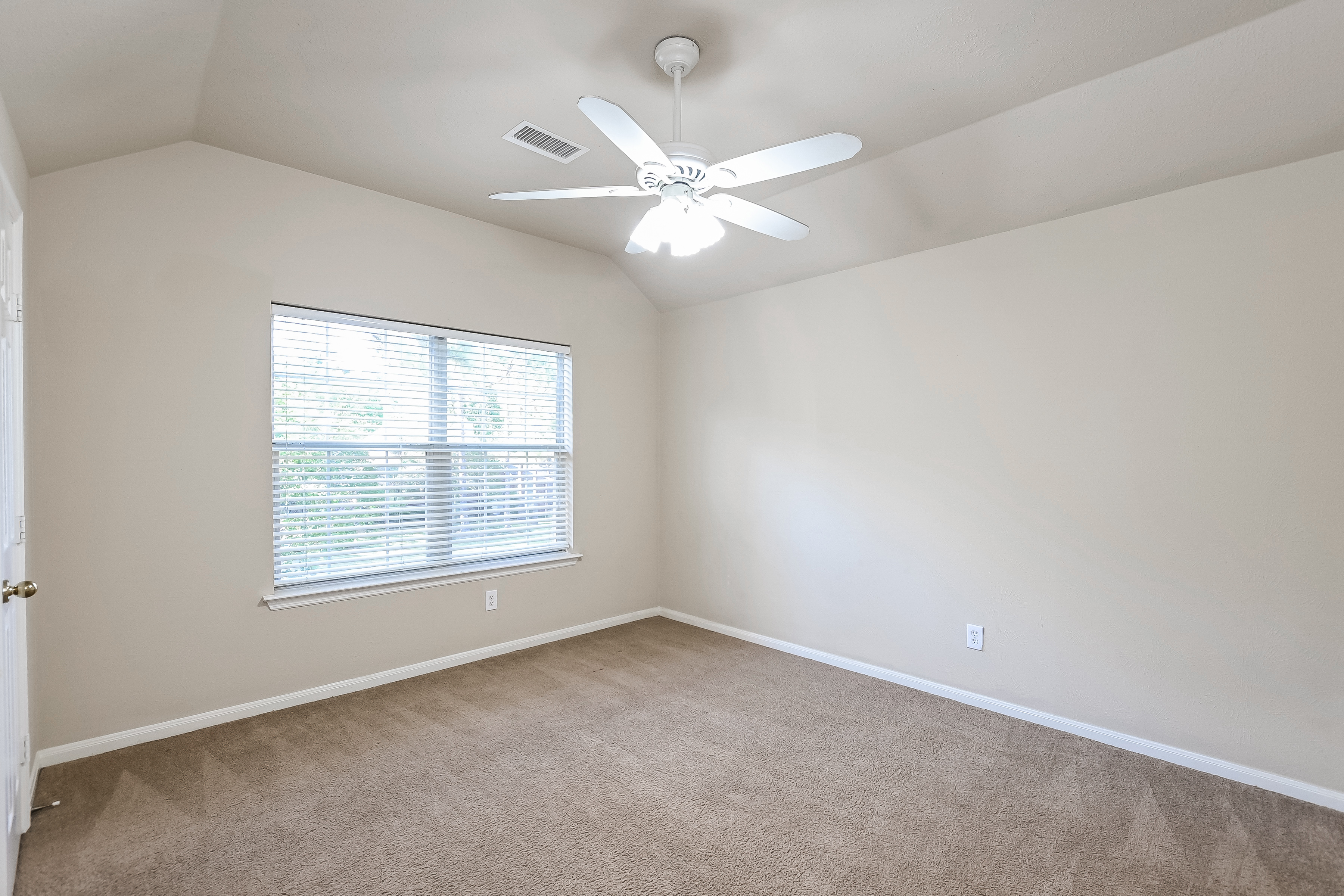 43 S Acacia Park Cir, Spring photo 13