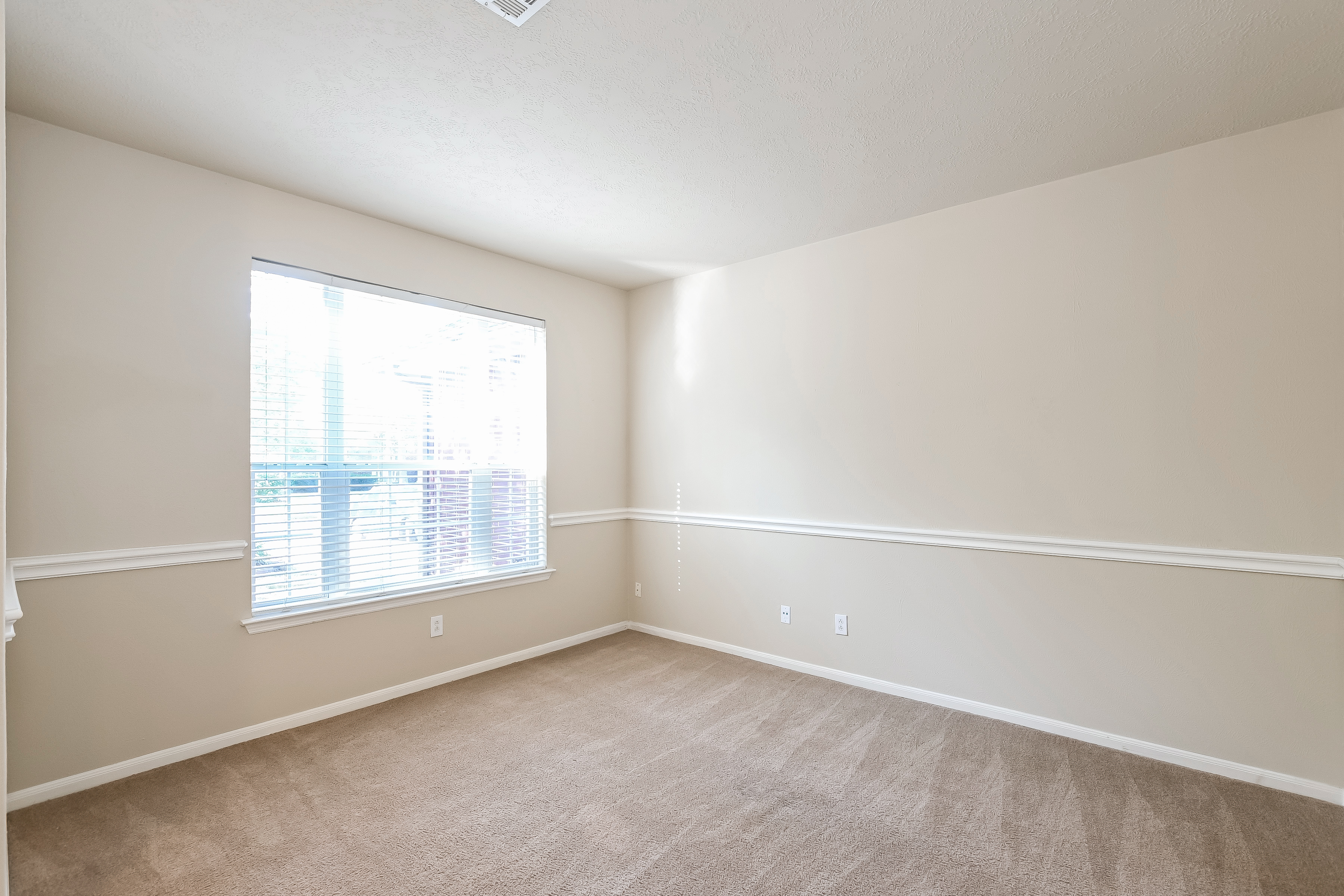 43 S Acacia Park Cir, Spring photo 14