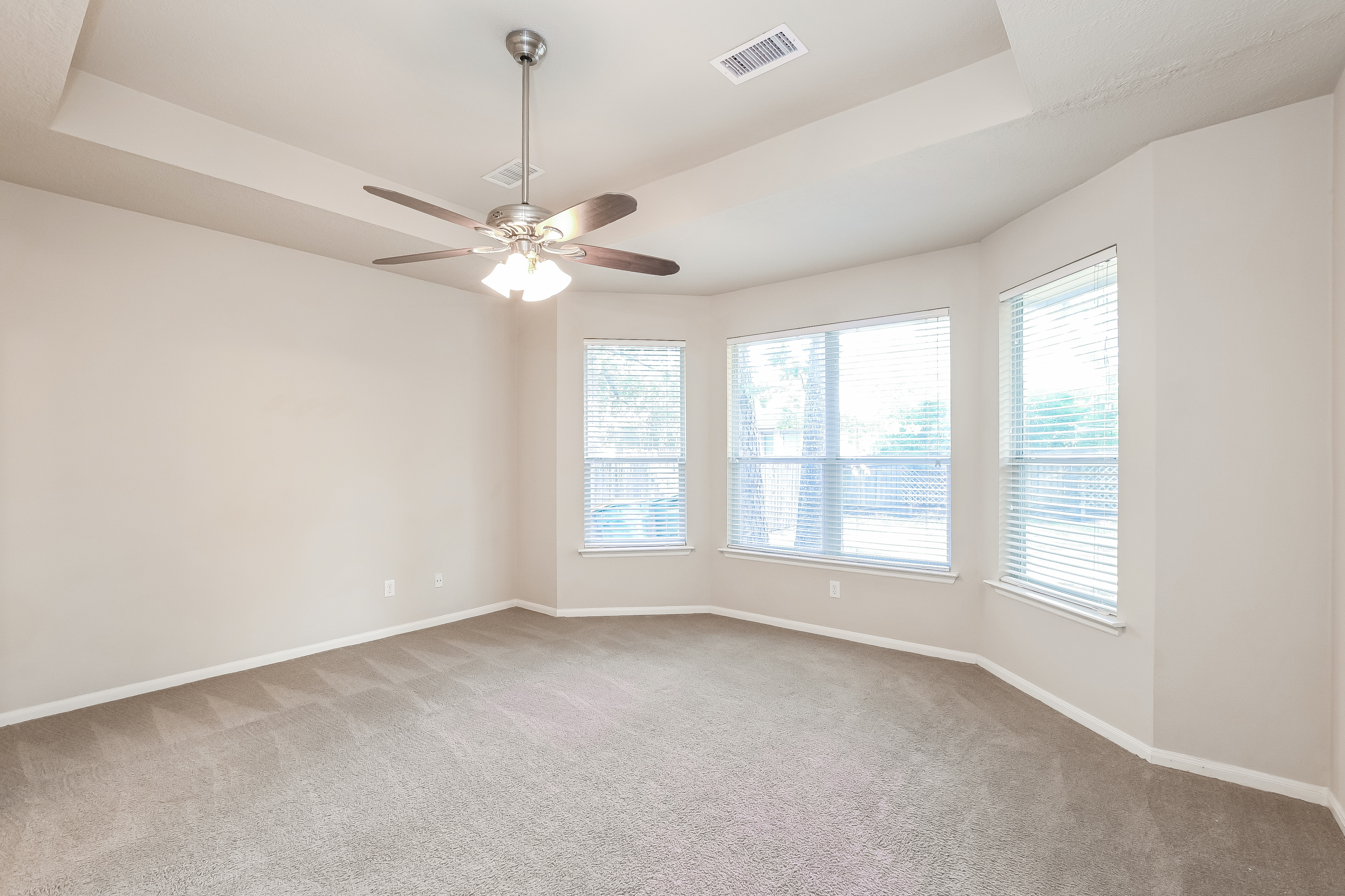 43 S Acacia Park Cir, Spring photo 8