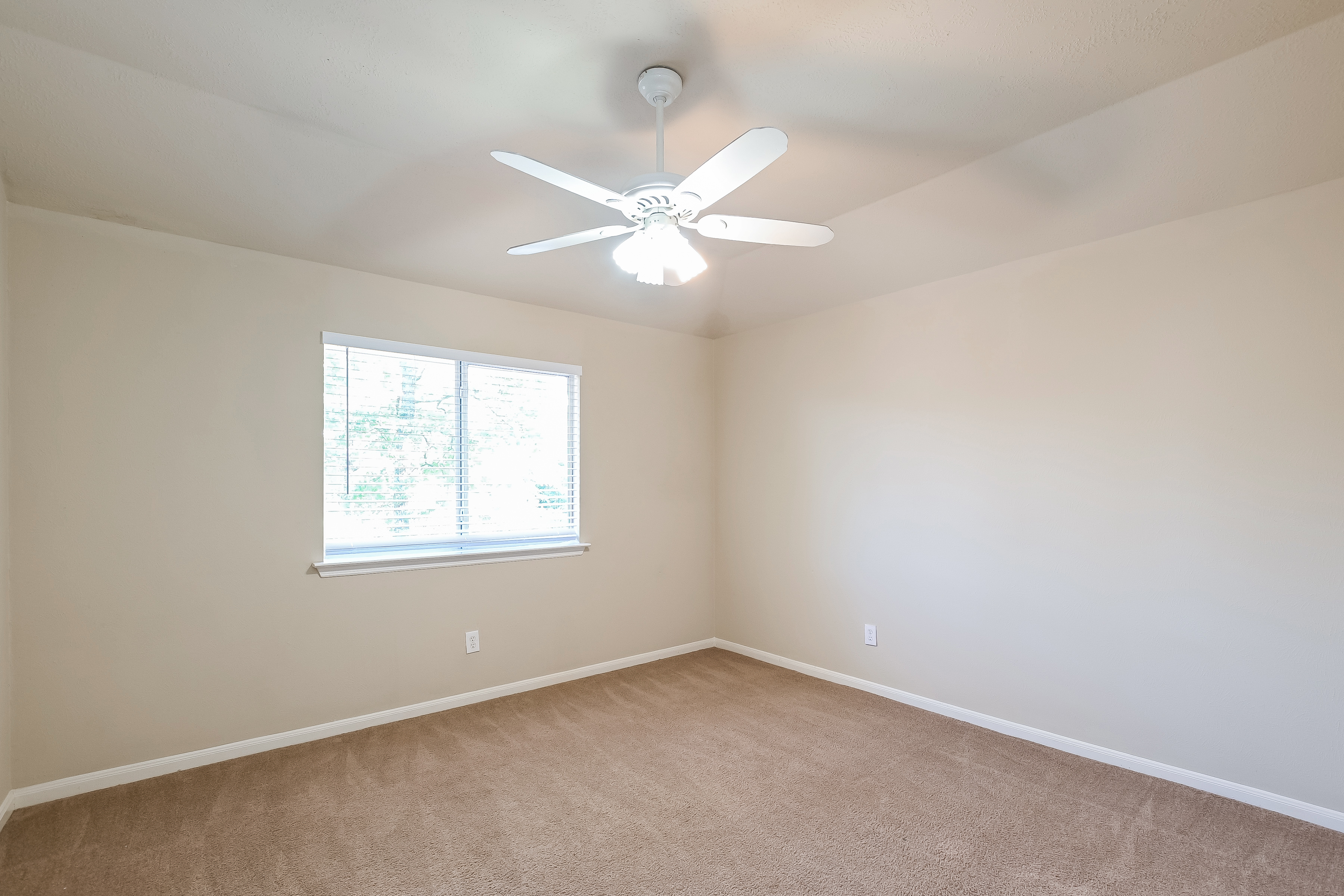 43 S Acacia Park Cir, Spring photo 11
