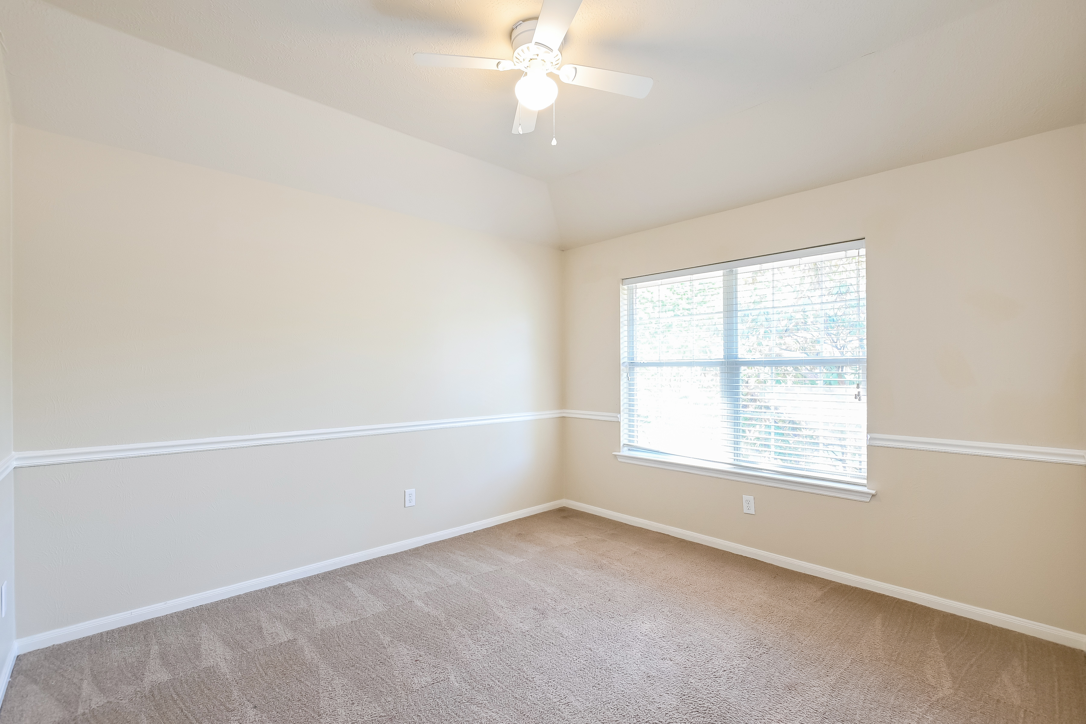 43 S Acacia Park Cir, Spring photo 12