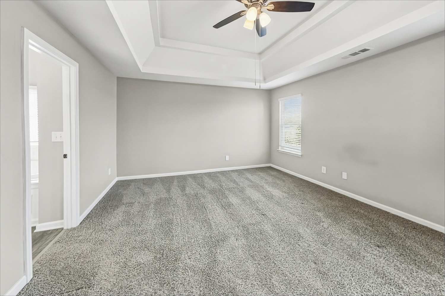 100 Hamilton Pointe Dr, McDonough photo 12
