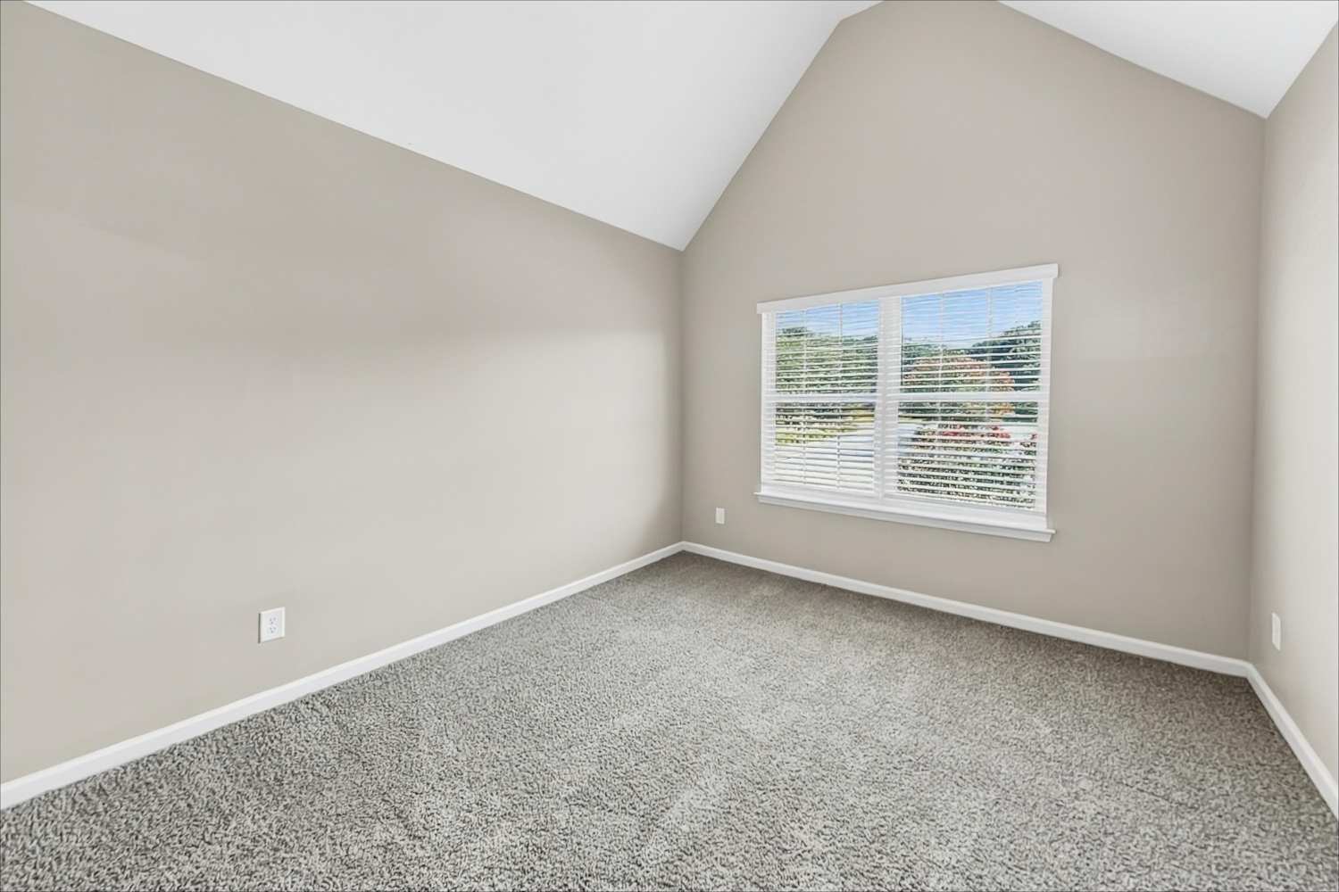100 Hamilton Pointe Dr, McDonough photo 18