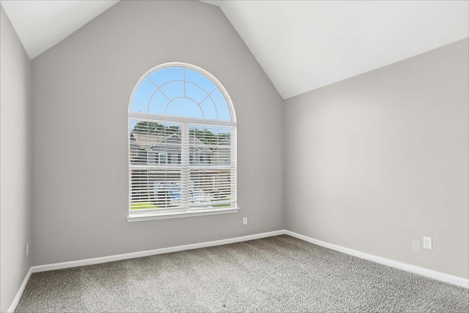 100 Hamilton Pointe Dr, McDonough photo 16