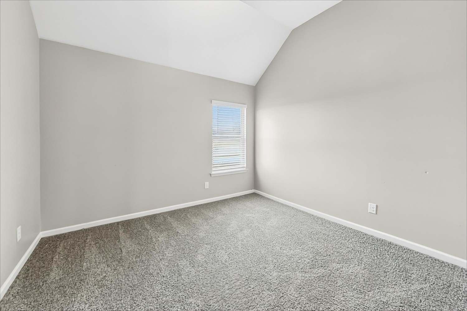 100 Hamilton Pointe Dr, McDonough photo 17