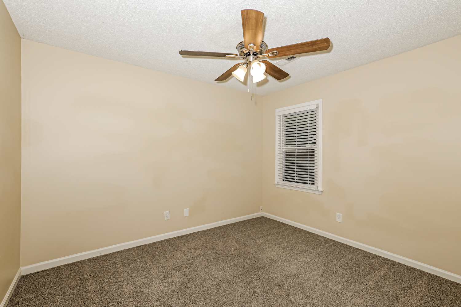 100 Pepperwood Dr, Peachtree City photo 9