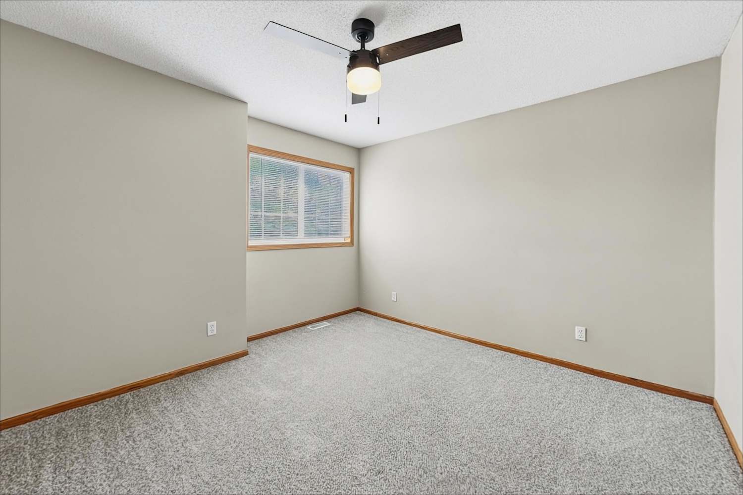 10128 45th Pl NE, Saint Michael photo 17
