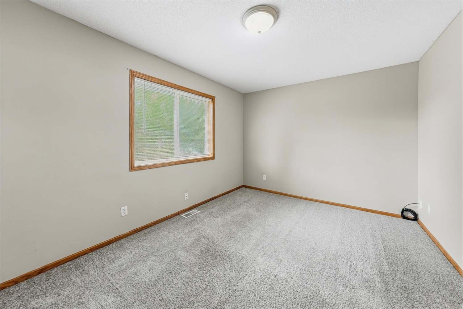 10128 45th Pl NE, Saint Michael photo 18