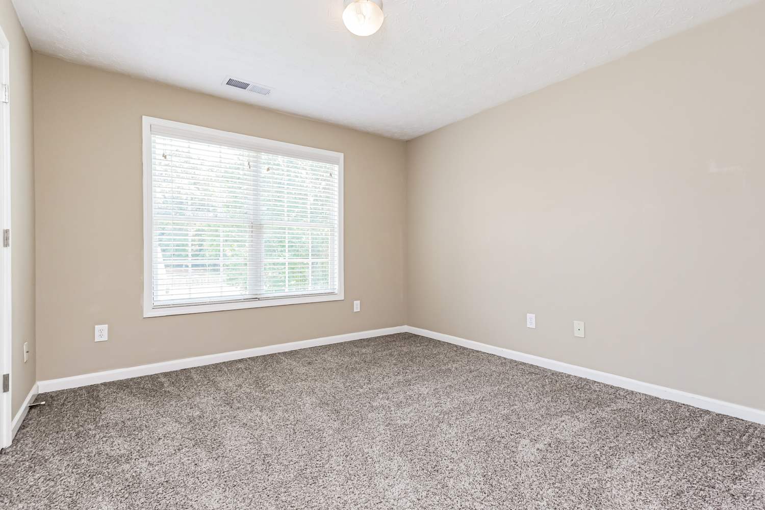 1013 Crown Landing Pkwy, McDonough photo 13