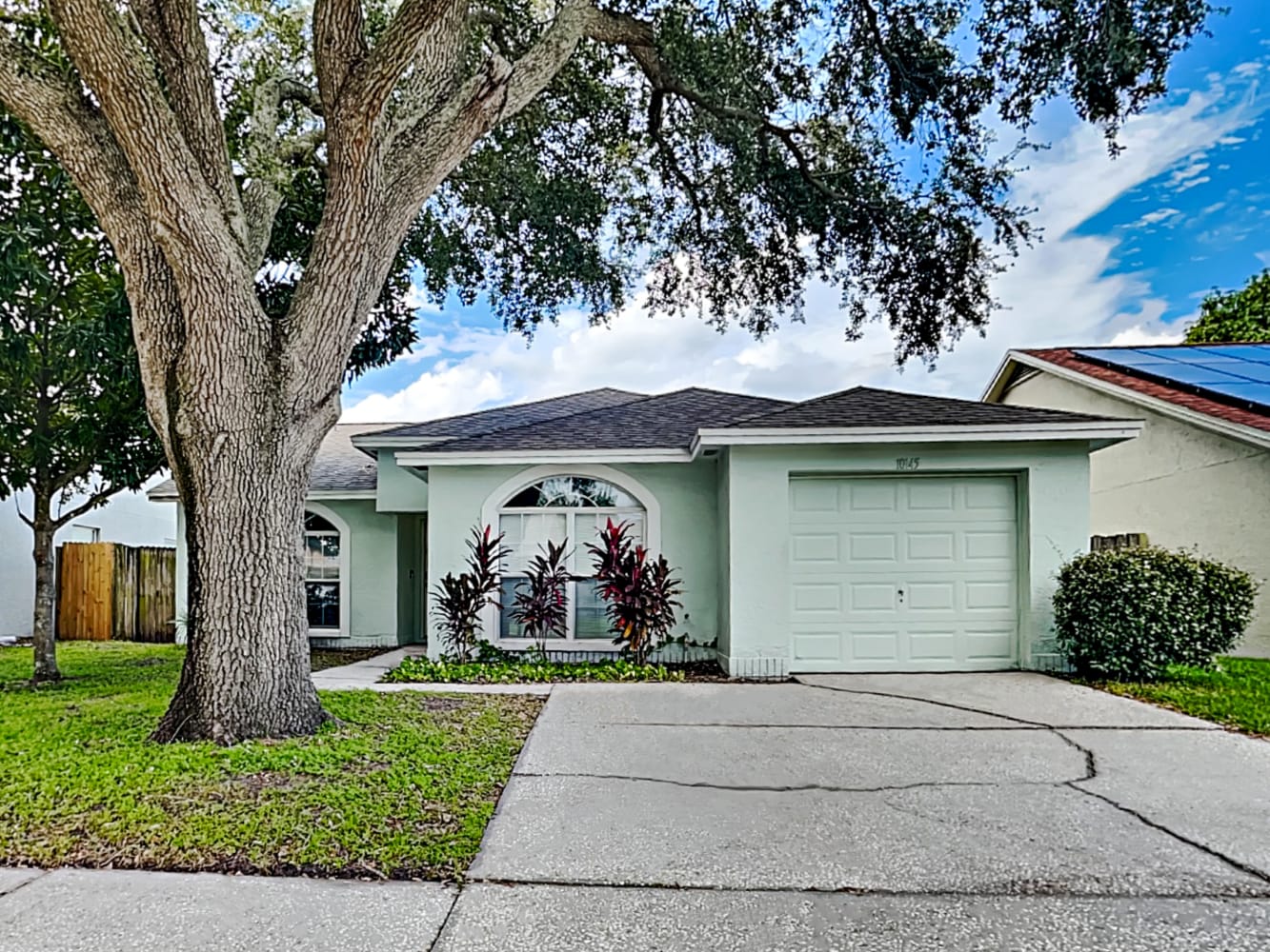 Front of 10145 Cedar Dune Dr, Tampa, FL