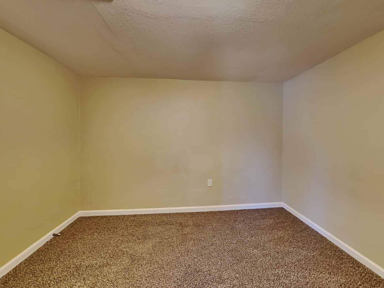 10179 Orr Rd, Galt photo 14
