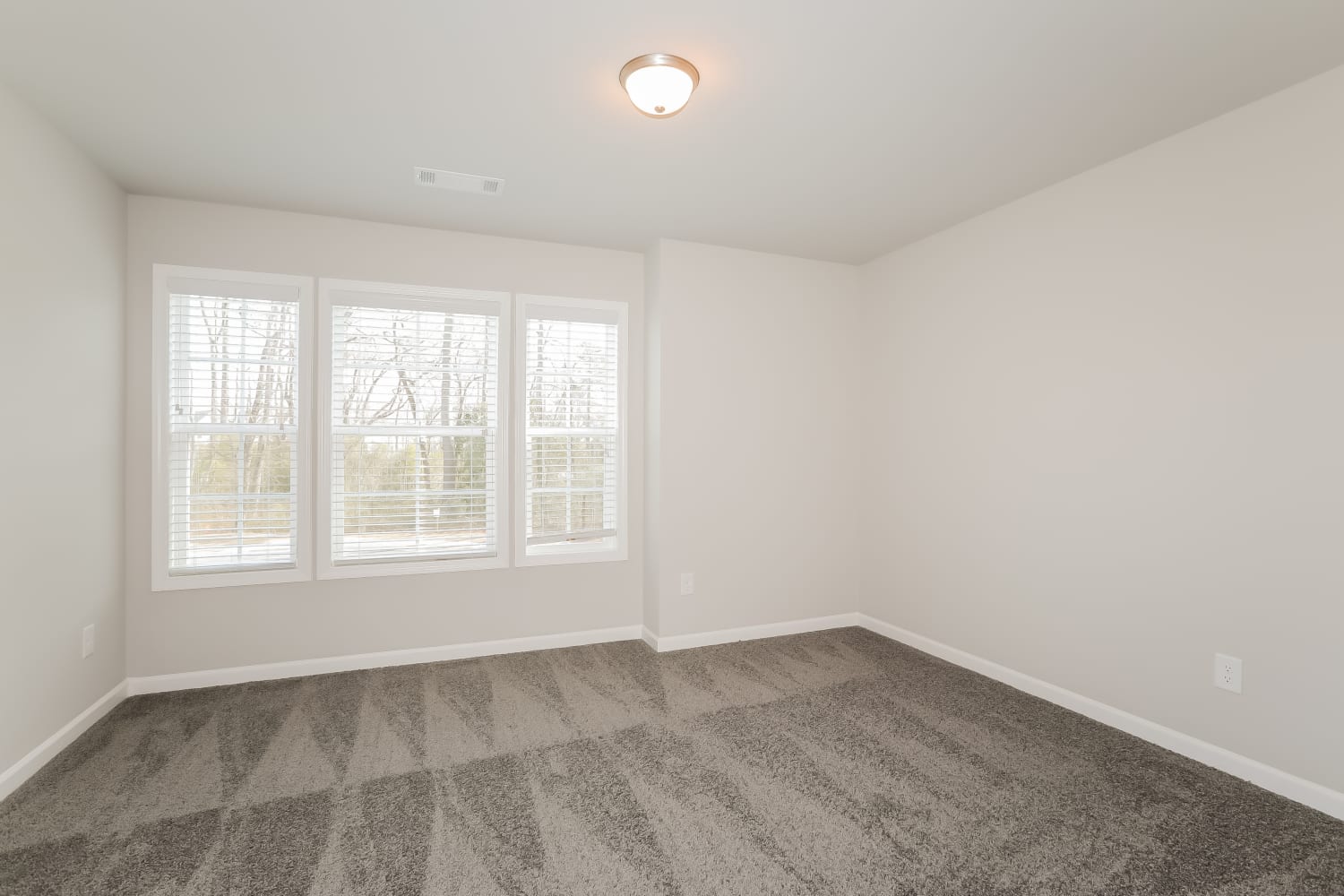 1021 Alder Grove Trl, Loganville photo 11