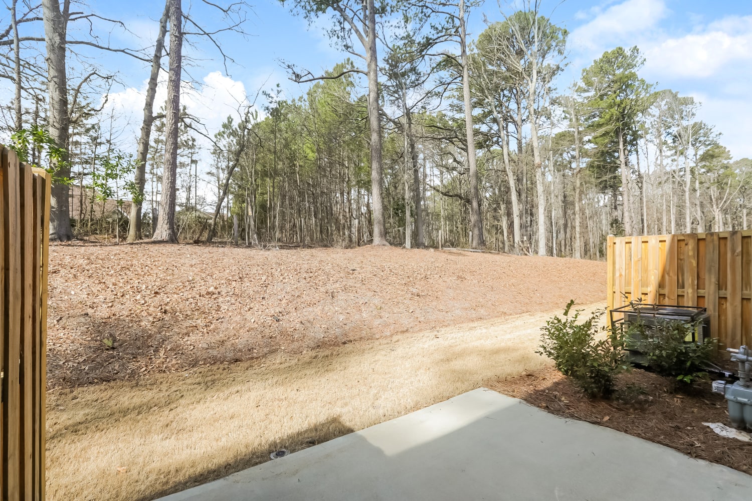 1021 Alder Grove Trl, Loganville photo 17