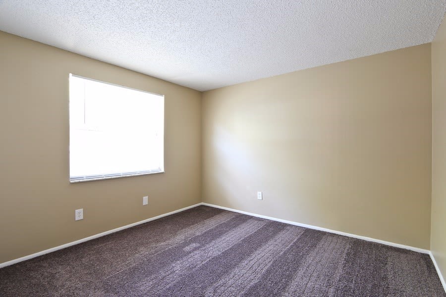 10220 Wilcox Ct, Tampa photo 12