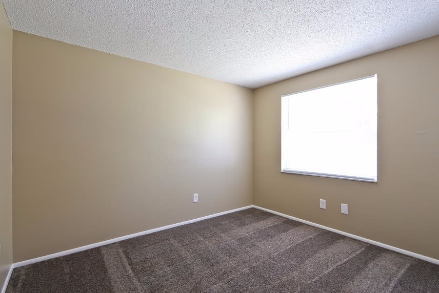10220 Wilcox Ct, Tampa photo 13