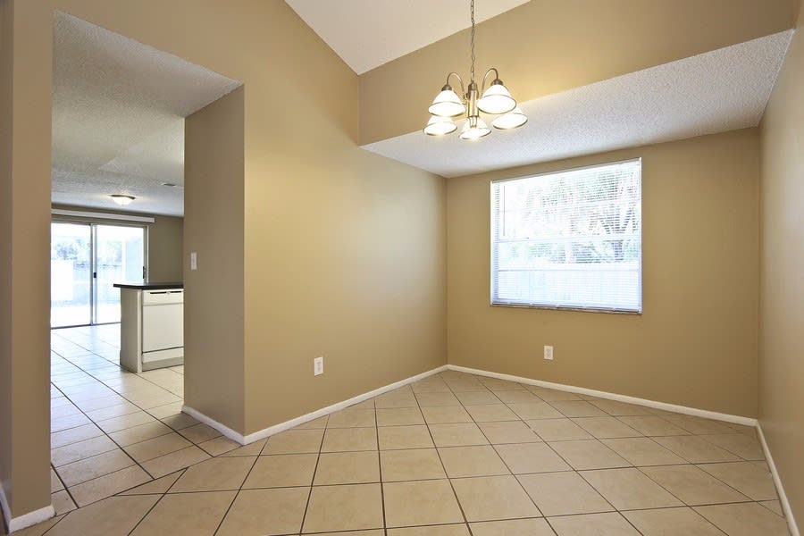 10220 Wilcox Ct, Tampa photo 7