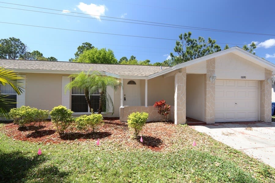 10220 Wilcox Ct, Tampa photo 1