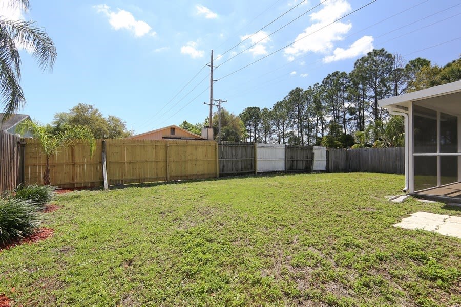 10220 Wilcox Ct, Tampa photo 17