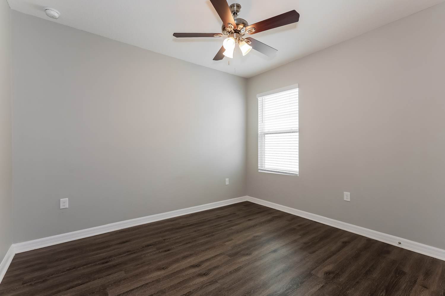 10225 Opaline Sky Pl, Riverview photo 12