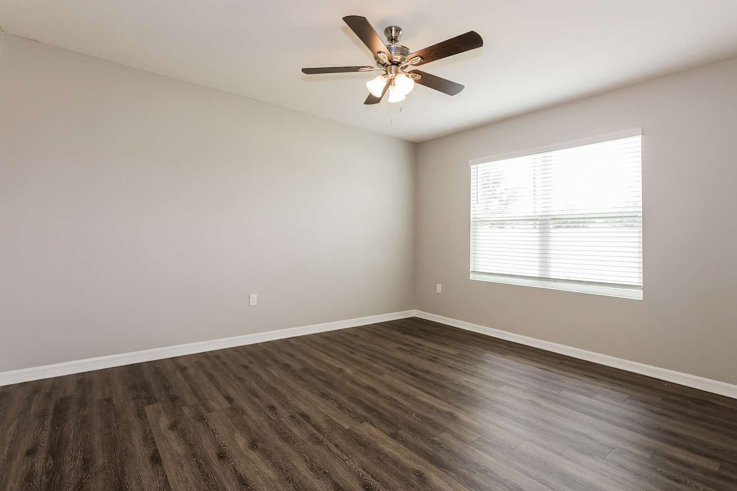 10225 Opaline Sky Pl, Riverview photo 10