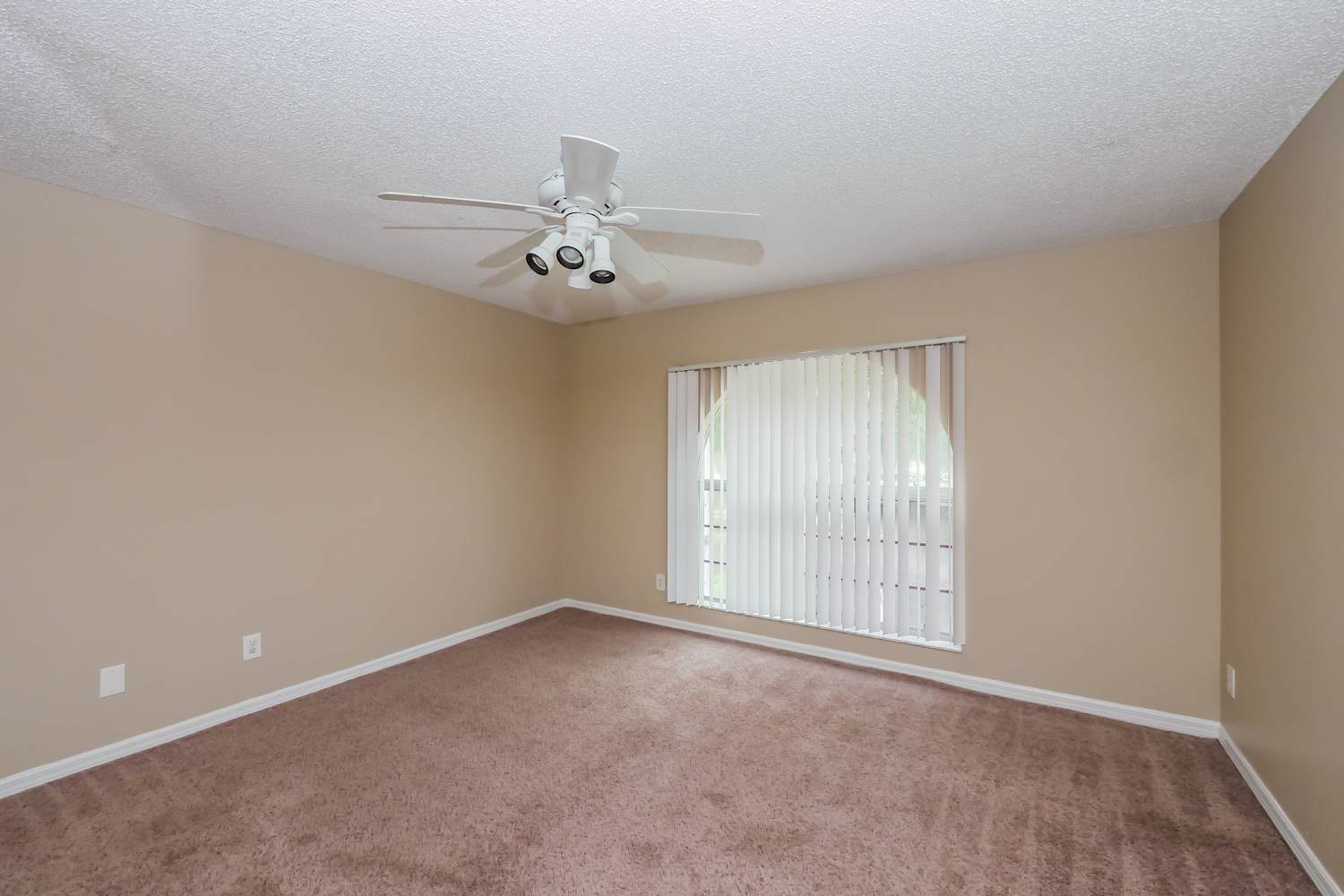 10225 Panama St, Hollywood photo 10