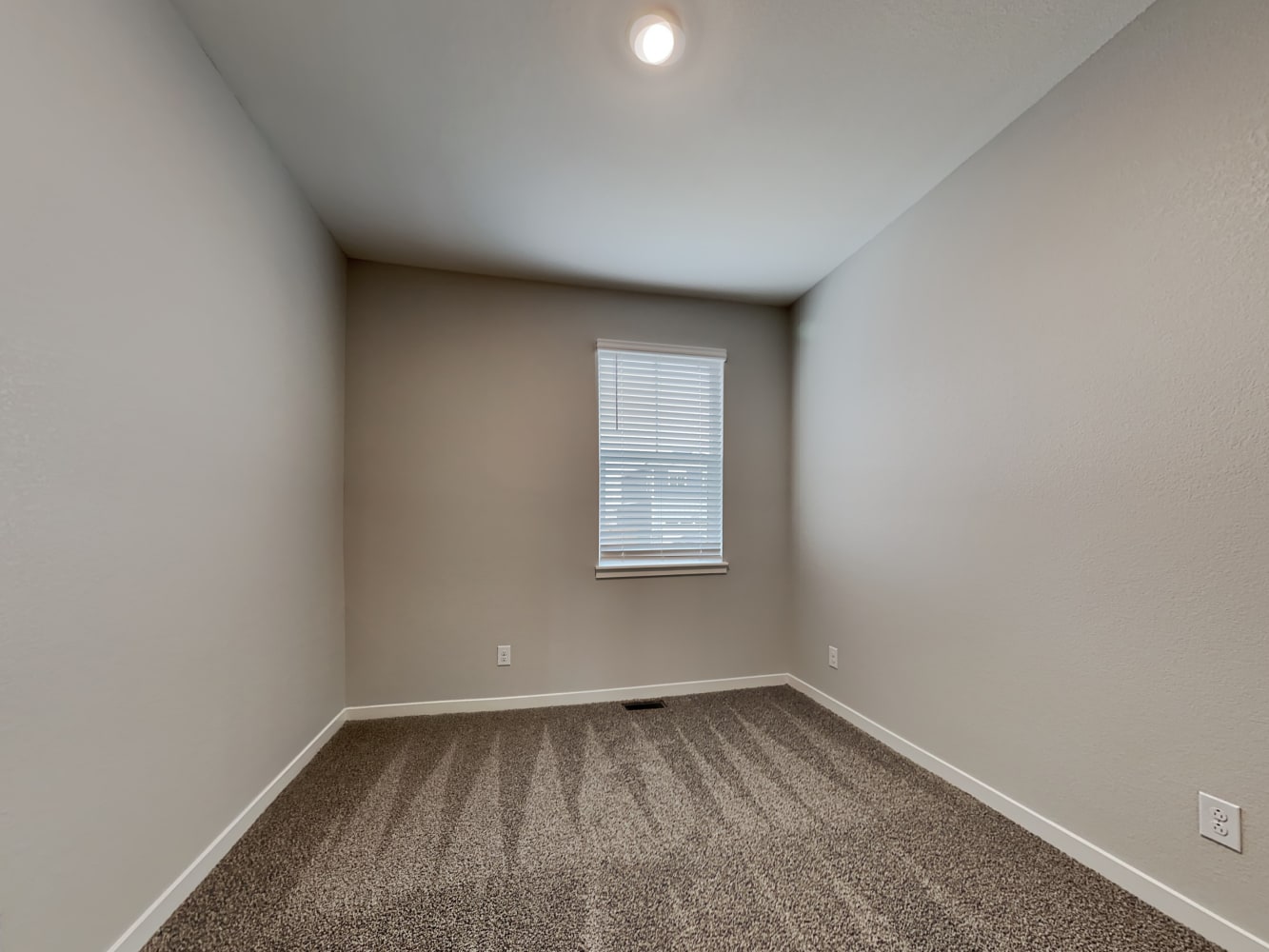10249 Castor Dr, Colorado Springs photo 11