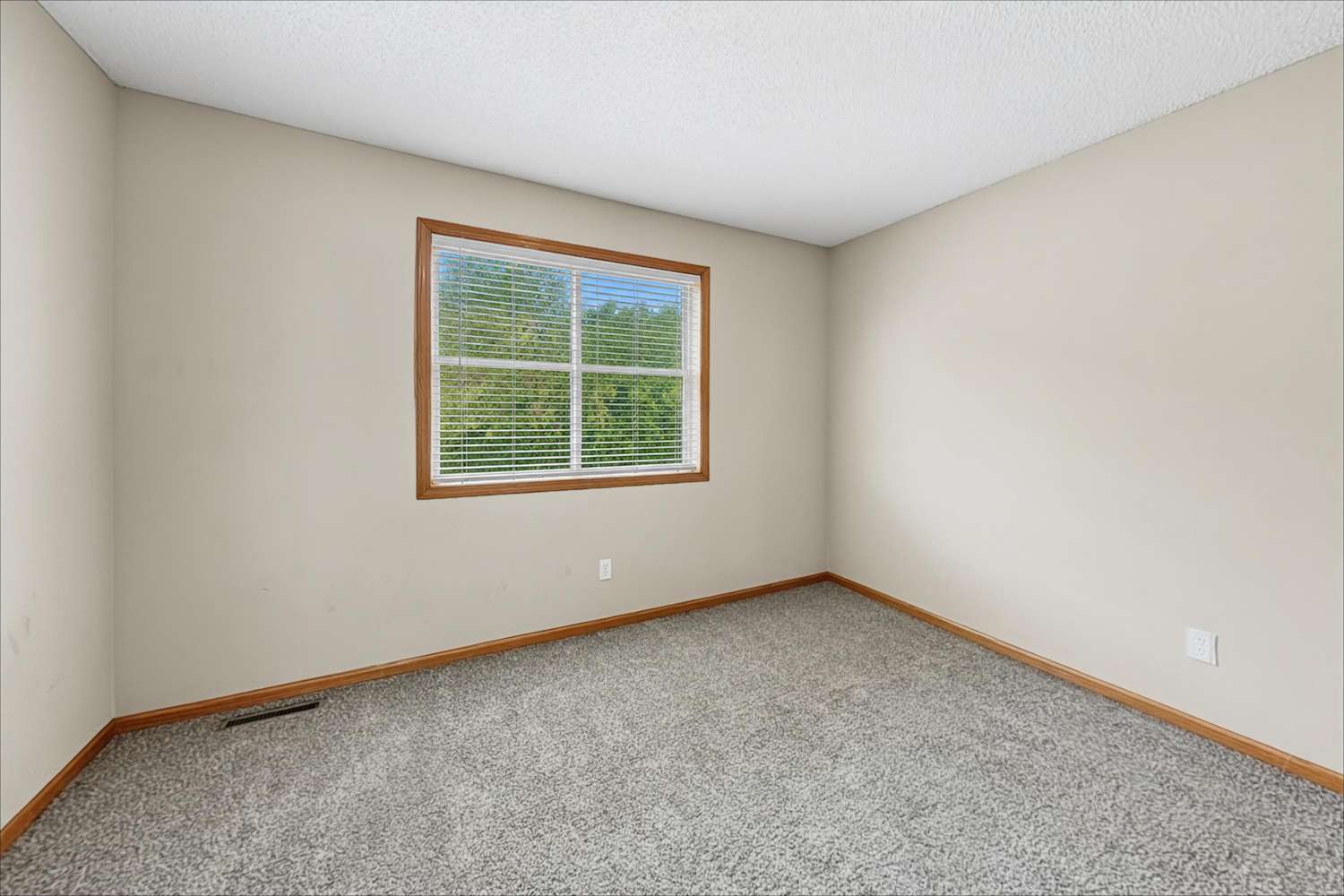 10322 Kali Ave NE, Albertville photo 14