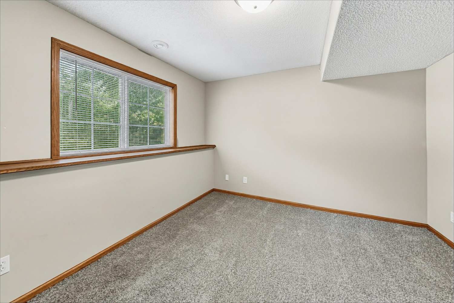 10322 Kali Ave NE, Albertville photo 16