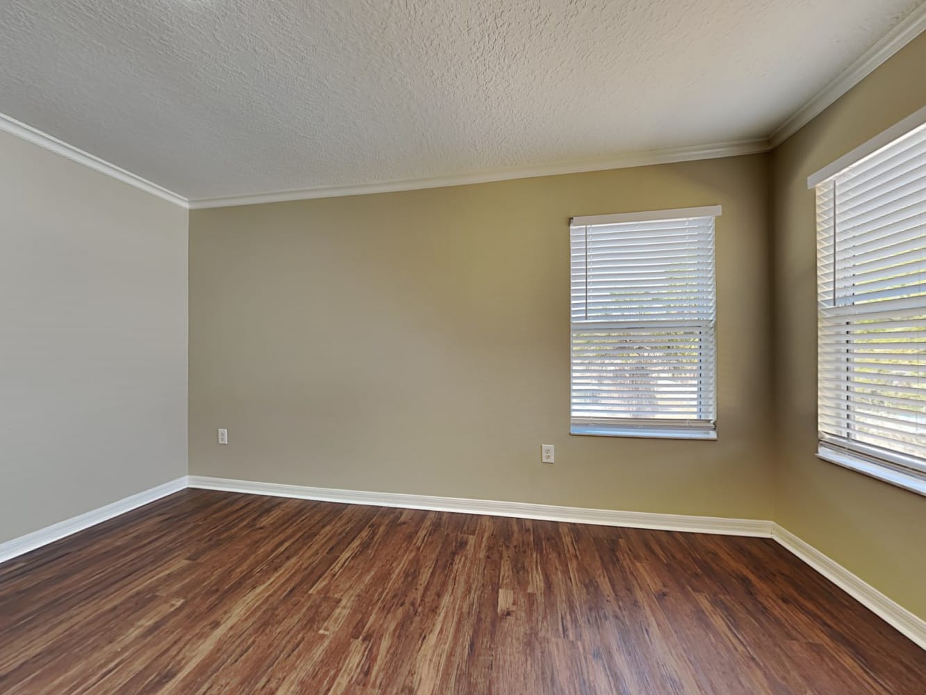 10333 Frog Pond Dr, Riverview photo 14