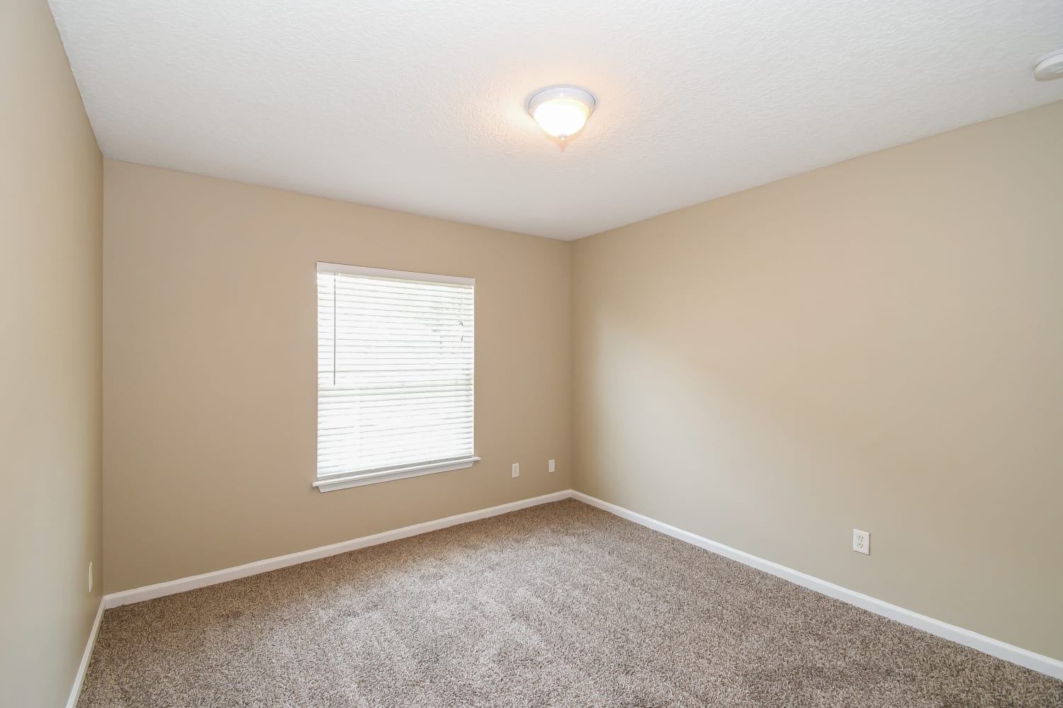 104 Moultrie Crossing Ln, Saint Augustine photo 14