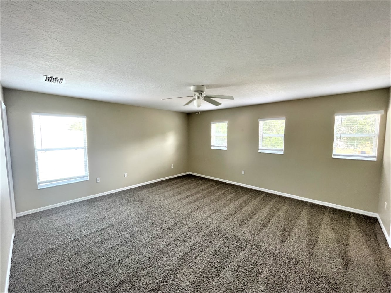 10420 Frog Pond Dr, Riverview photo 7