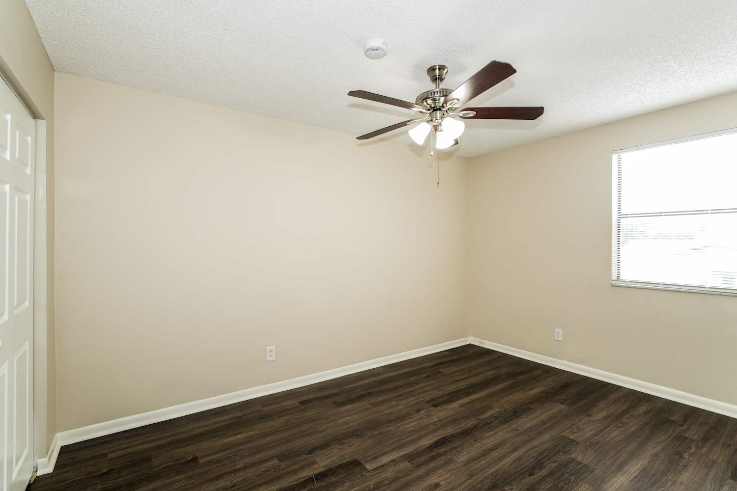 10507 Chadbourne Dr, Tampa photo 13
