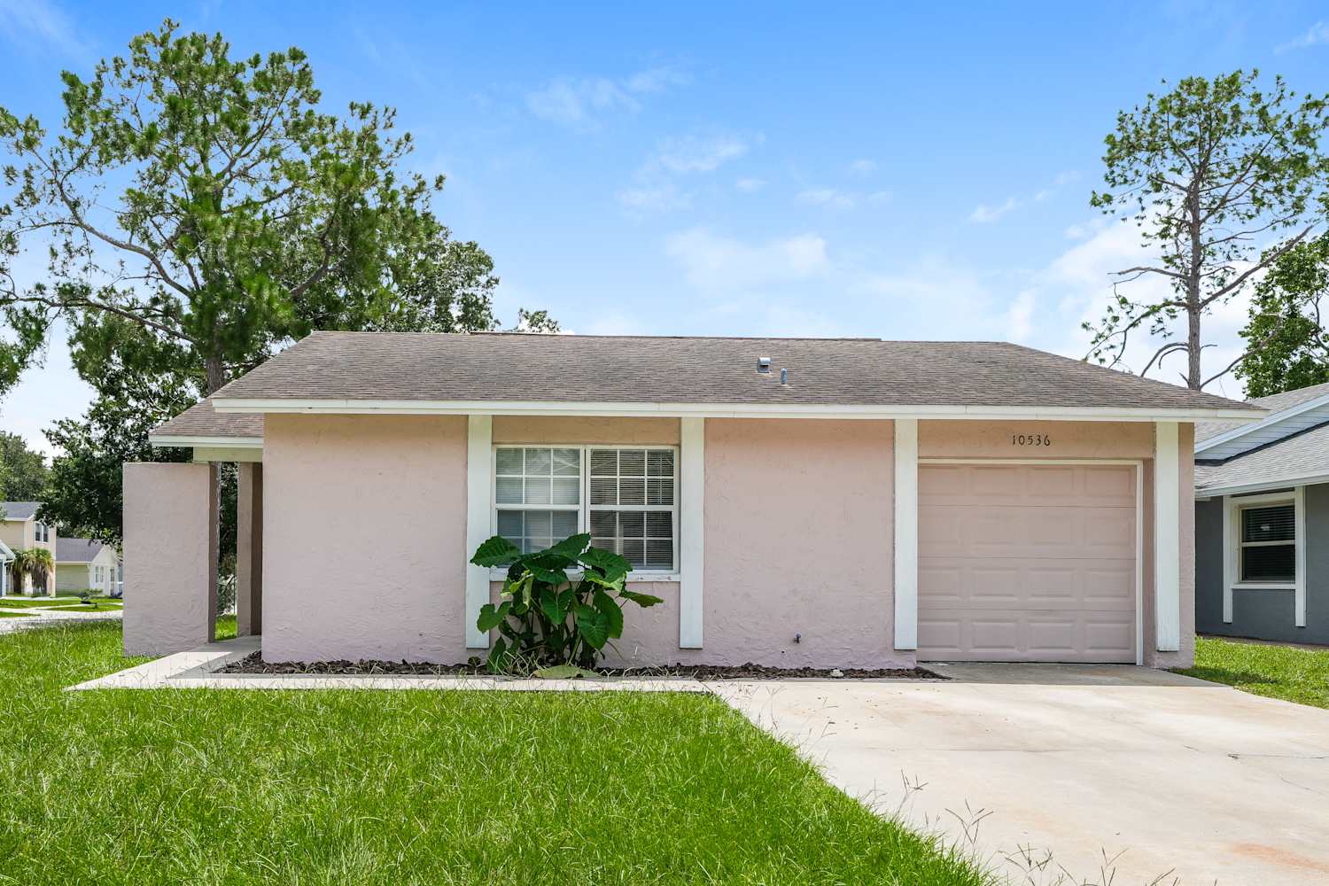 10536 Chadbourne Dr, Tampa photo 1