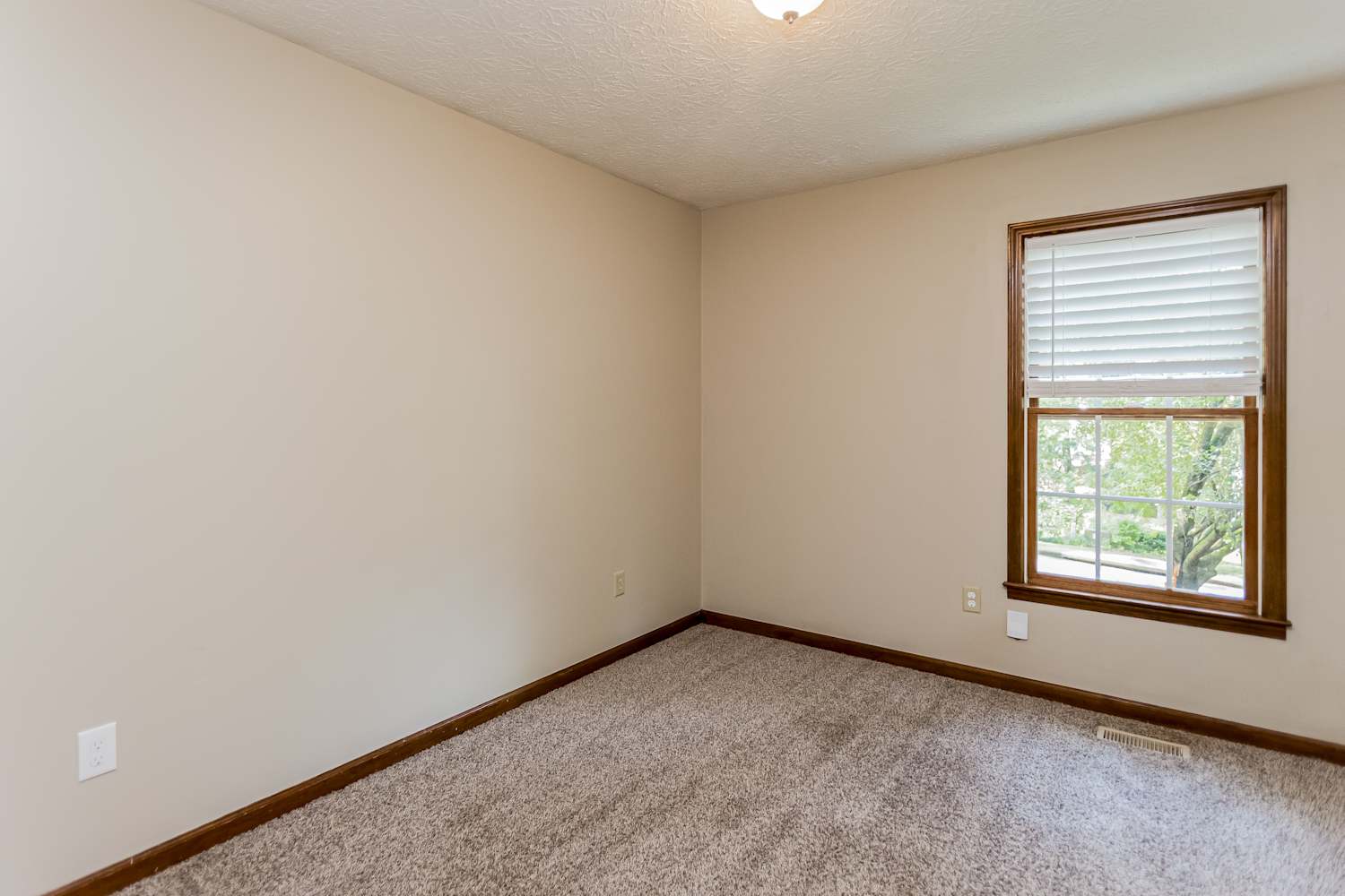 106 Remington Ct, Woodstock photo 12