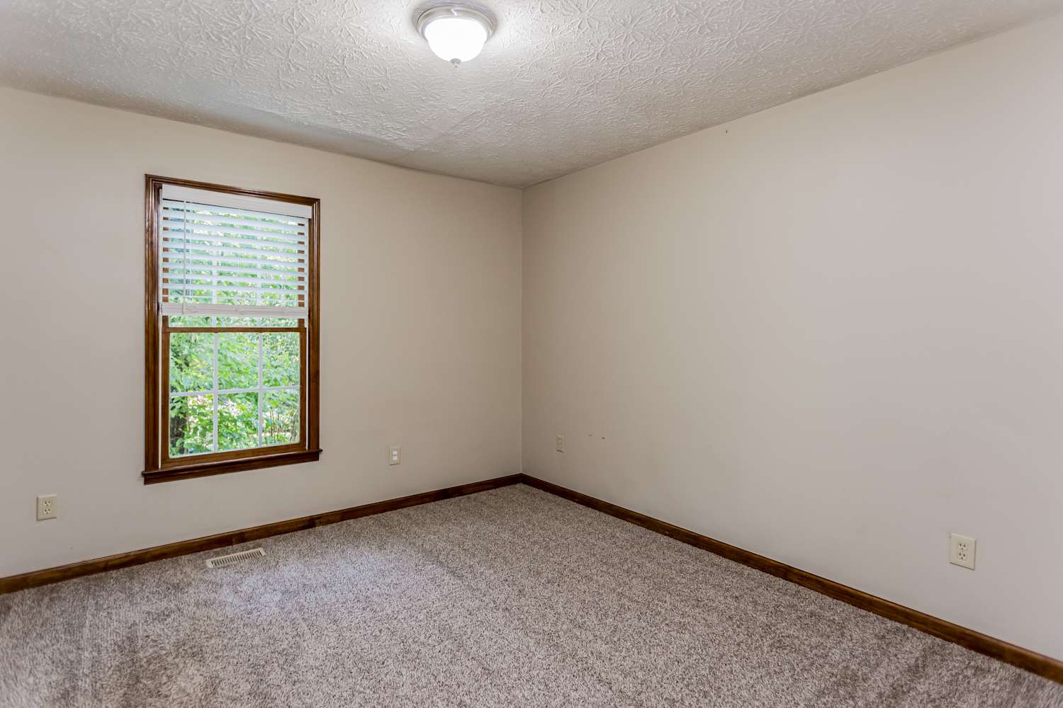 106 Remington Ct, Woodstock photo 13