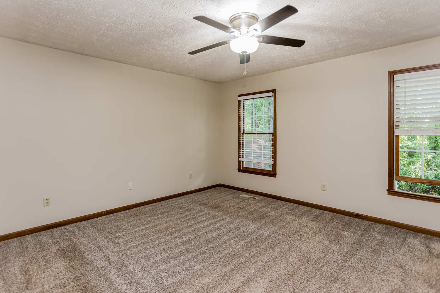 106 Remington Ct, Woodstock photo 10