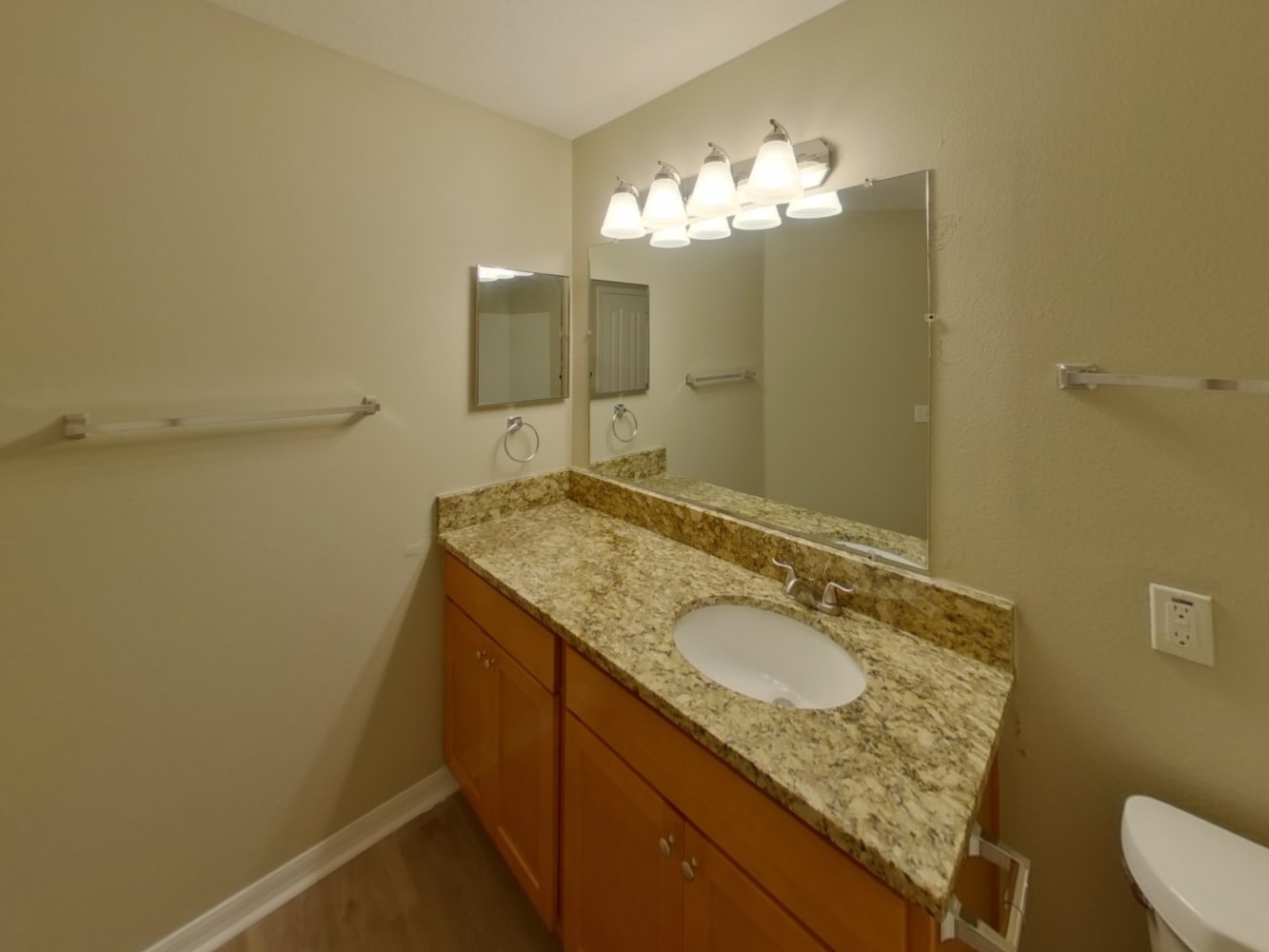 10711 Bamboo Rod Cir, Riverview photo 21