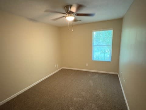 108 Astilbe Meadow Dr, Locust Grove photo 10