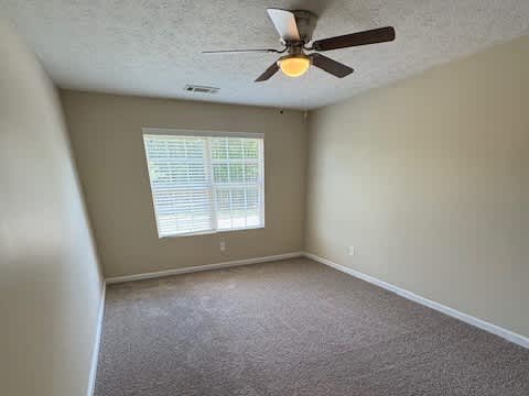 108 Astilbe Meadow Dr, Locust Grove photo 11