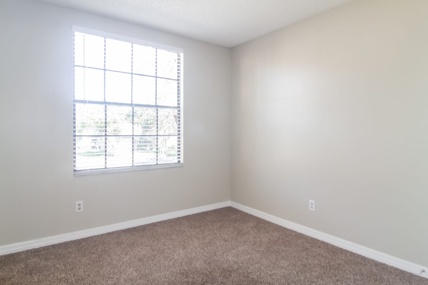 10812 Scepter Dr, Orlando photo 14