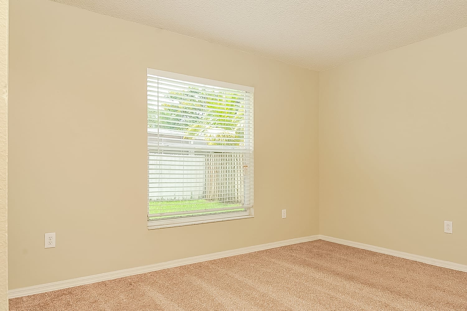 10819 Capstan Lake Dr, Riverview photo 13