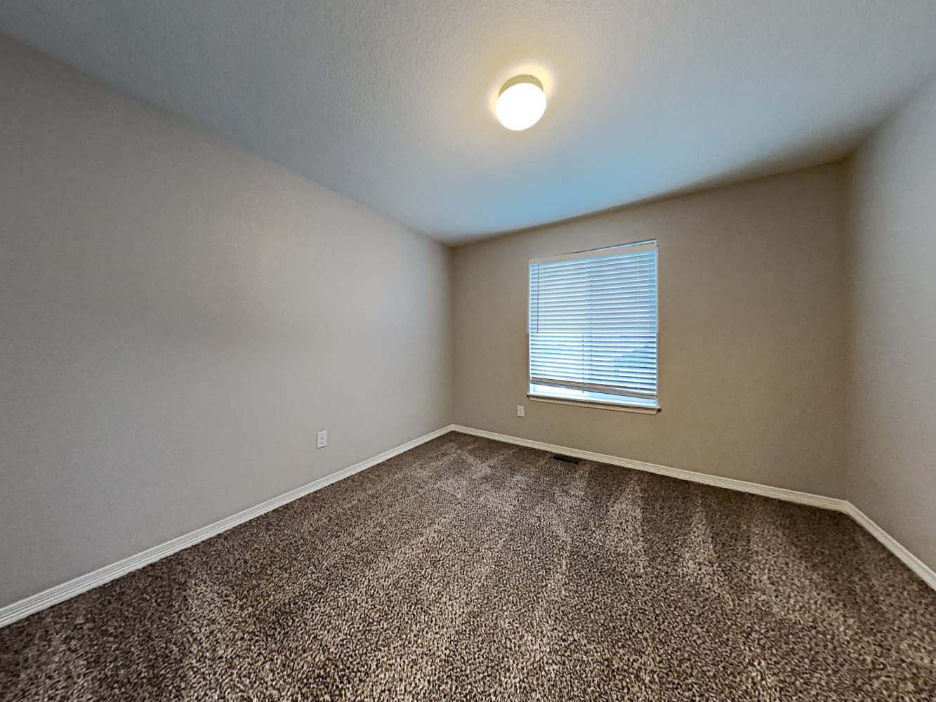 10864 Nolin Dr, Colorado Springs photo 13