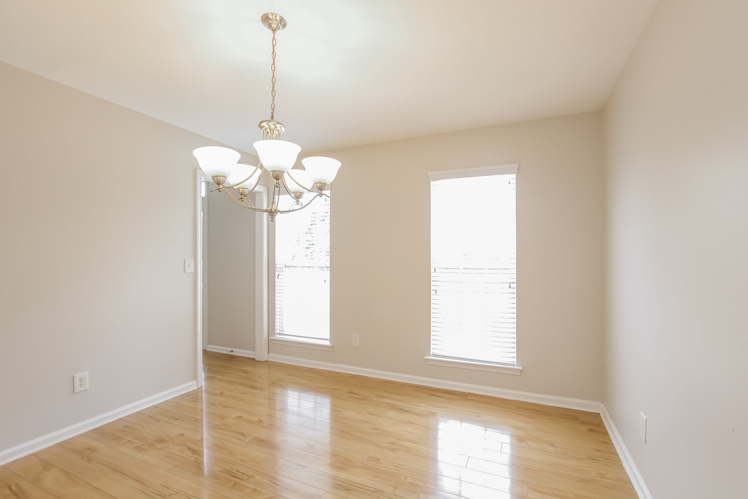 10920 Harmony Glen Court, Charlotte photo 8
