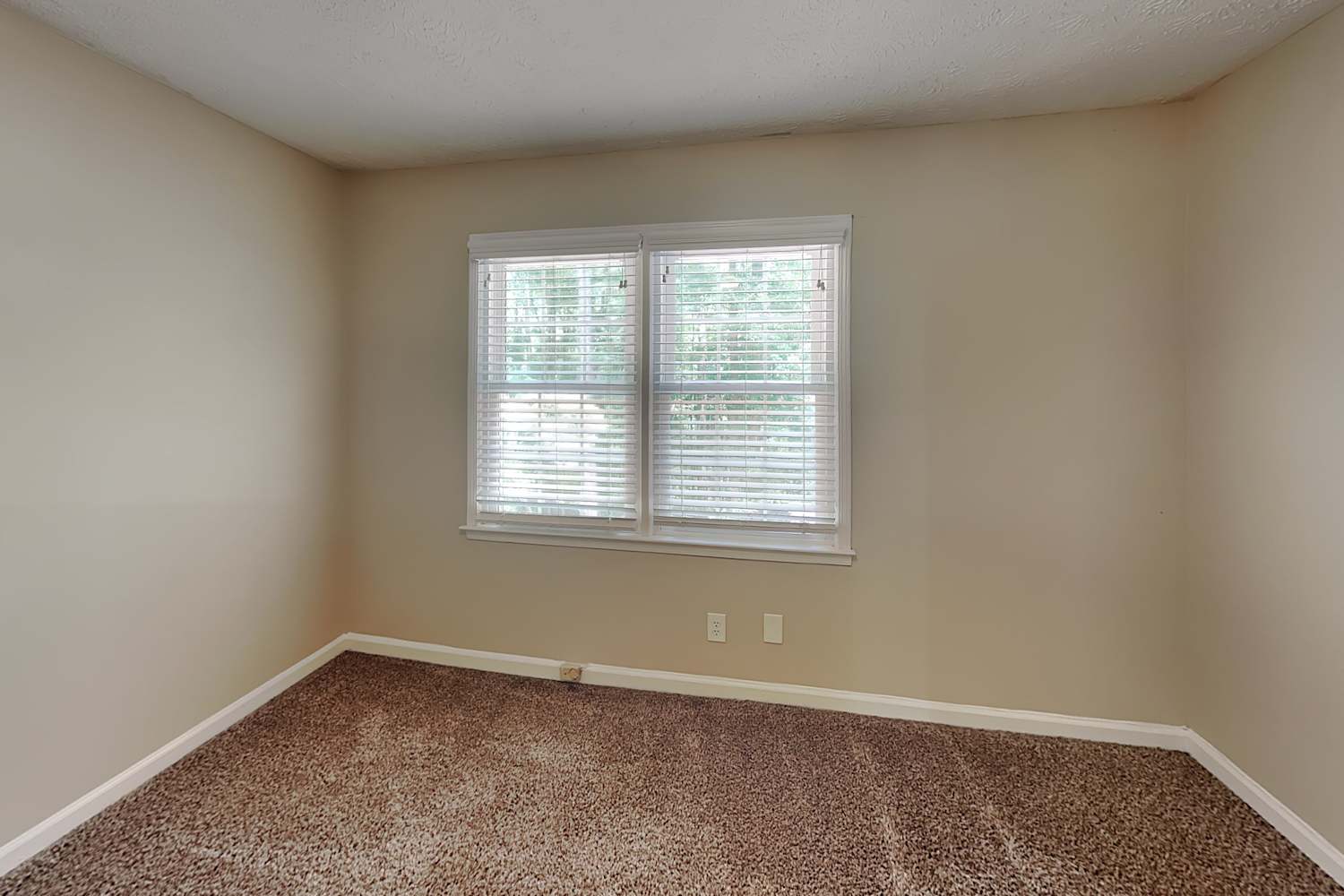 110 Woodsong Dr, Fayetteville photo 18