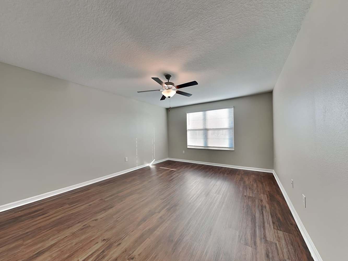 11105 Riley Pines Cir, Gibsonton photo 10