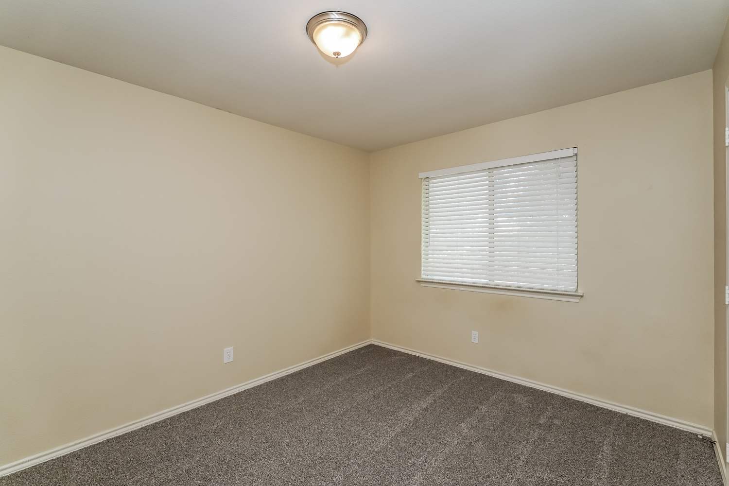 11113 Promise Land Dr, Frisco photo 15