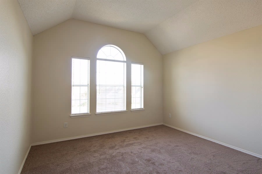 11135 Covey Ln, Frisco photo 13